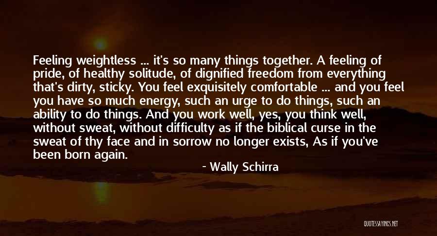 Wally Schirra Quotes 496984