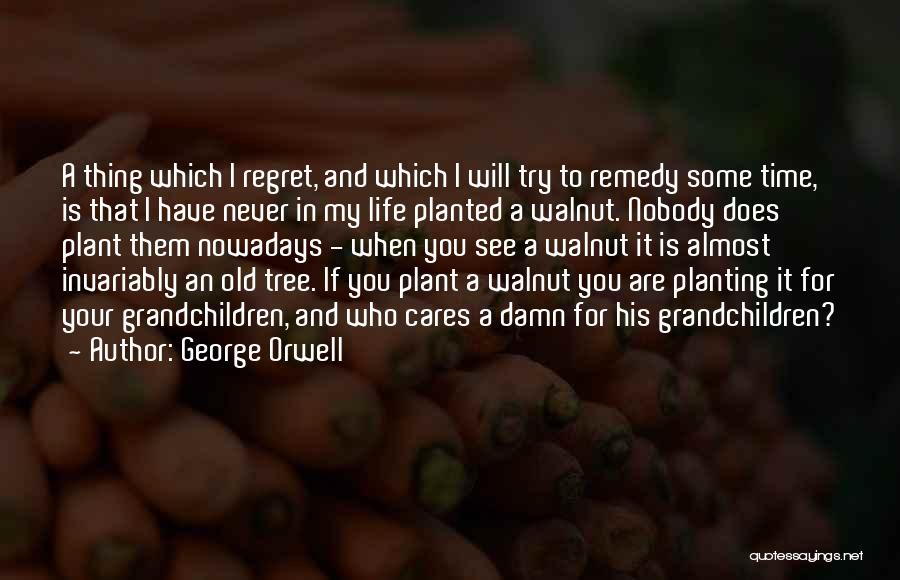 Walnut Quotes By George Orwell