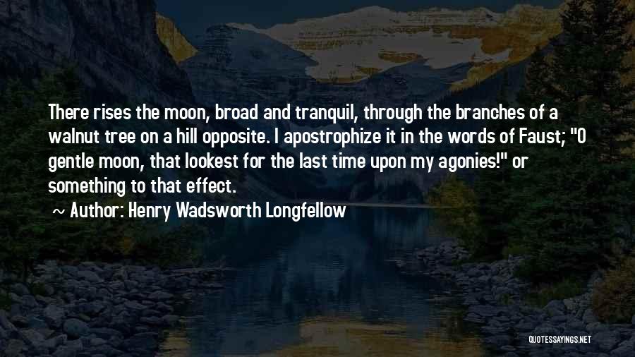 Walnut Quotes By Henry Wadsworth Longfellow