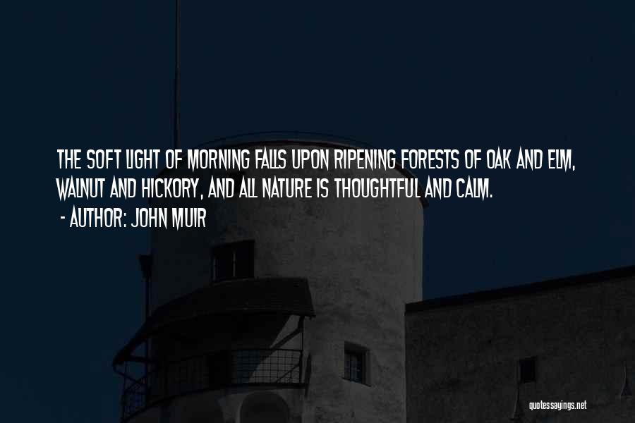 Walnut Quotes By John Muir