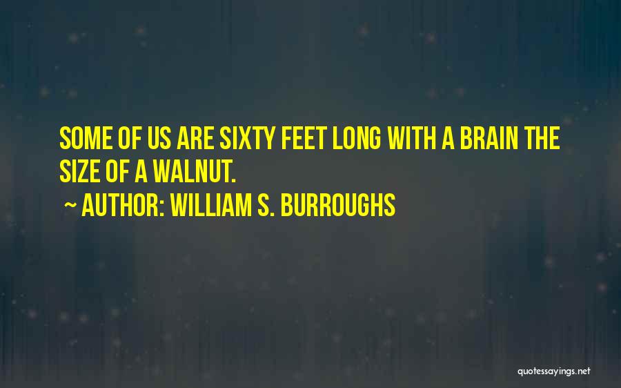Walnut Quotes By William S. Burroughs
