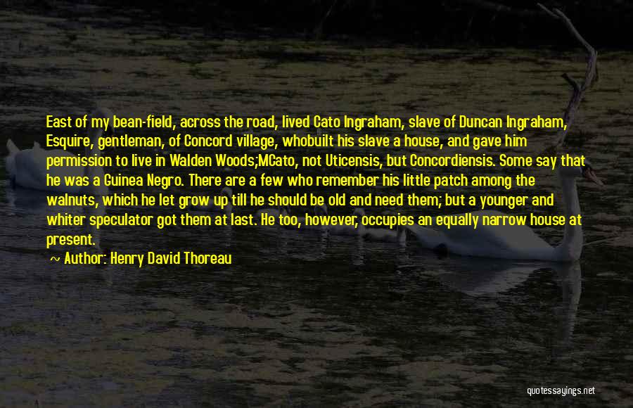Walnuts Quotes By Henry David Thoreau
