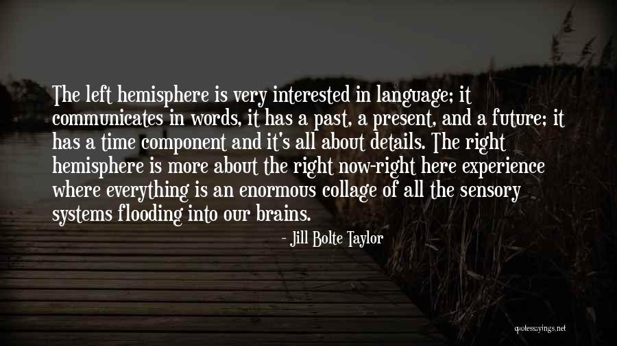 Walshaw Fc Quotes By Jill Bolte Taylor Walshaw Fc Quotes By Jill Bolte Taylor