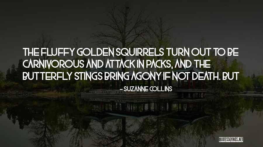 Walstroms Disease Quotes By Suzanne Collins Walstroms Disease Quotes By Suzanne Collins