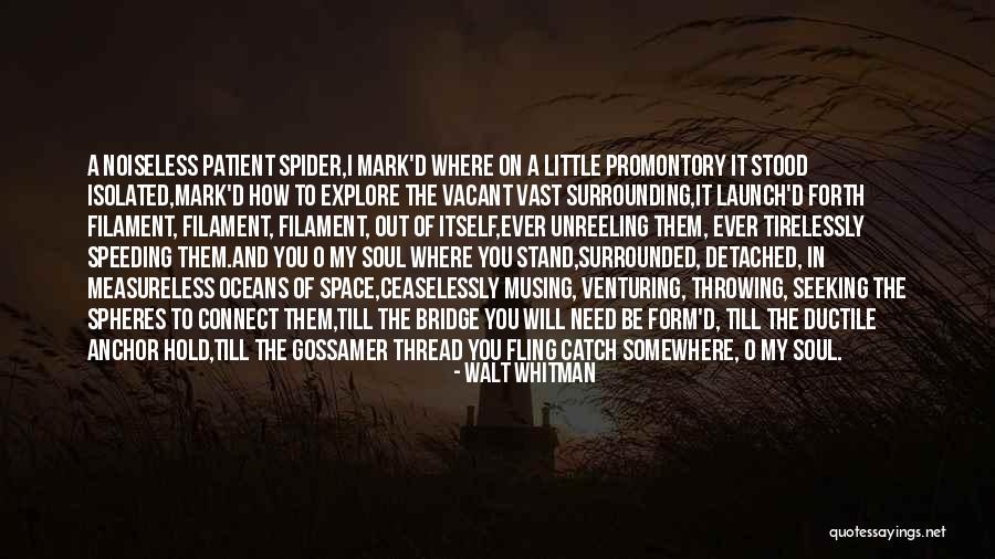 Walt Whitman Quotes 1039577 Walt Whitman Quotes 1039577