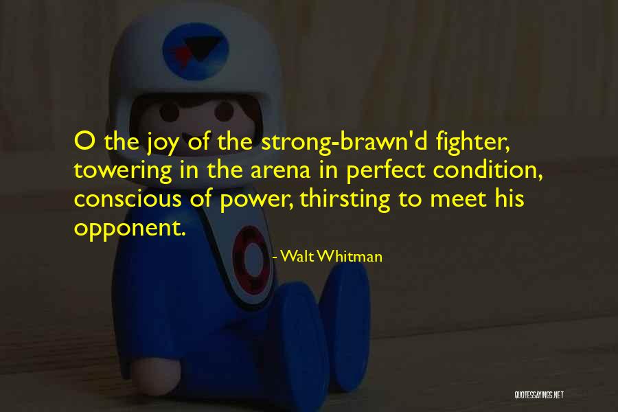 Walt Whitman Quotes 1150924