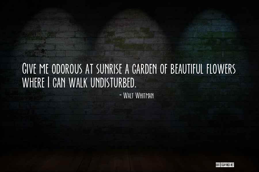 Walt Whitman Quotes 1358731 Walt Whitman Quotes 1358731