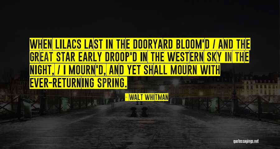 Walt Whitman Quotes 1730000 Walt Whitman Quotes 1730000