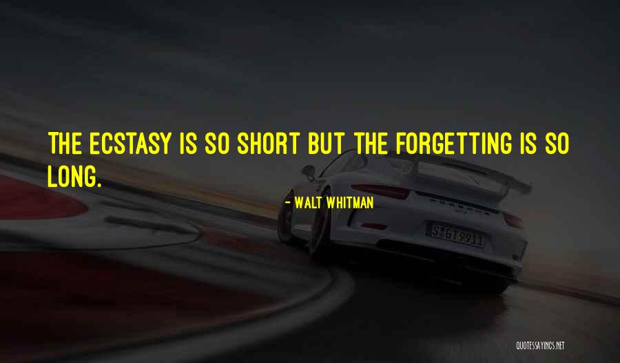 Walt Whitman Quotes 1817300 Walt Whitman Quotes 1817300