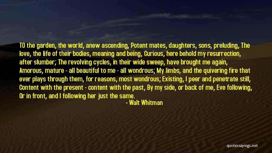Walt Whitman Quotes 209912 Walt Whitman Quotes 209912