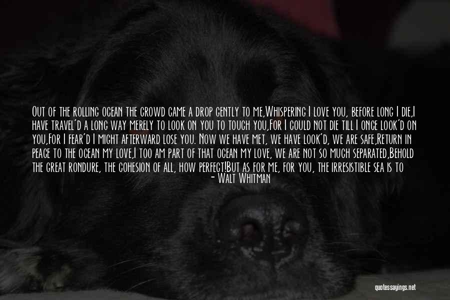 Walt Whitman Quotes 252421 Walt Whitman Quotes 252421