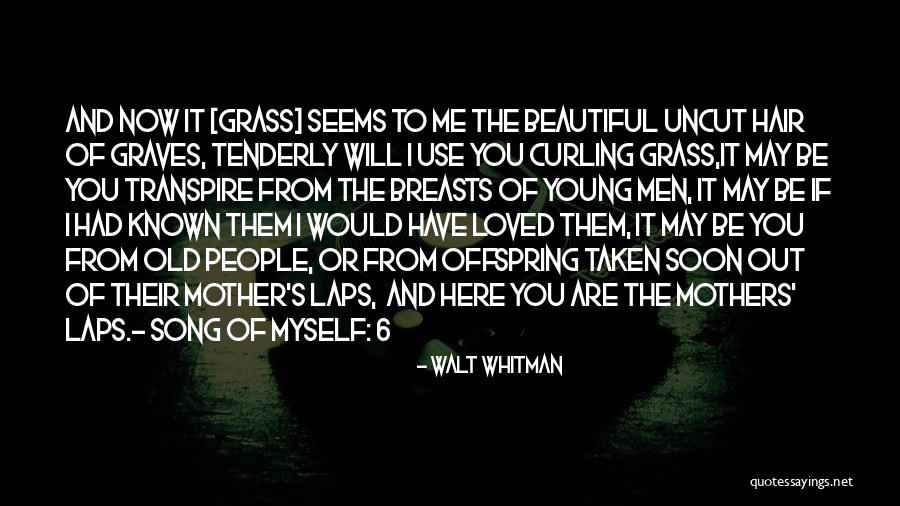 Walt Whitman Quotes 724709