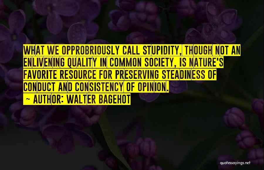 Walter Bagehot Quotes 1412555