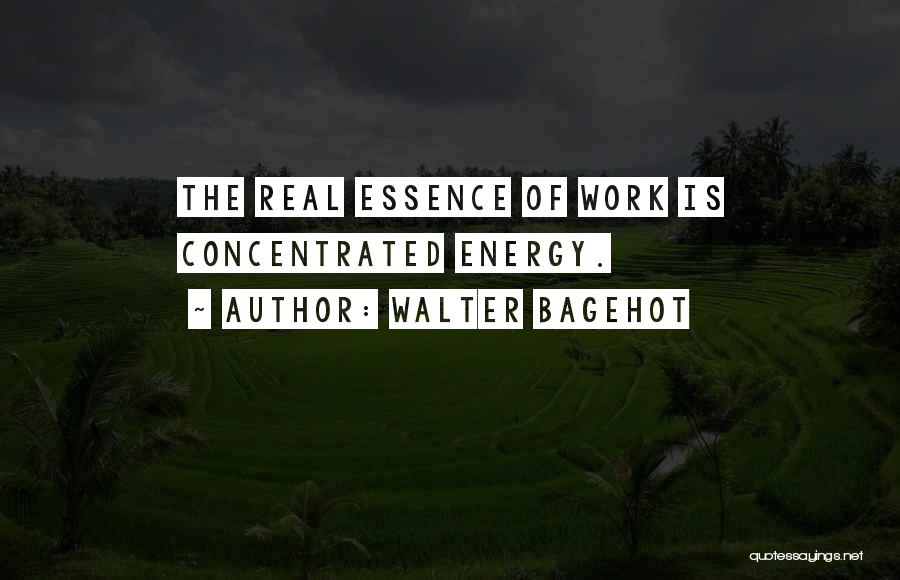 Walter Bagehot Quotes 232752