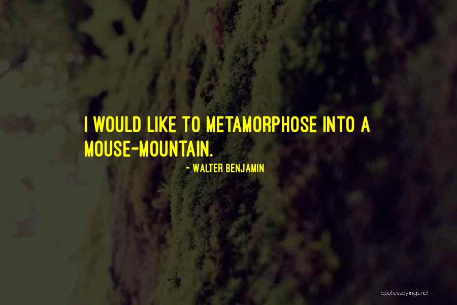 Walter Benjamin Quotes 1671816 Walter Benjamin Quotes 1671816