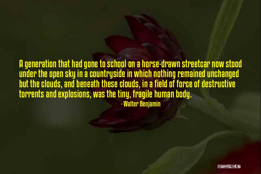 Walter Benjamin Quotes 2012006 Walter Benjamin Quotes 2012006