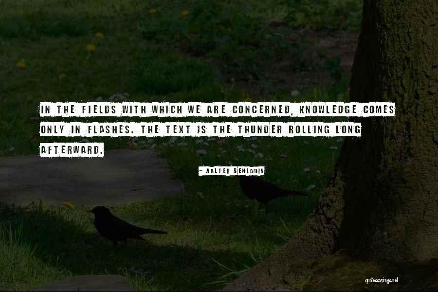 Walter Benjamin Quotes 502805 Walter Benjamin Quotes 502805