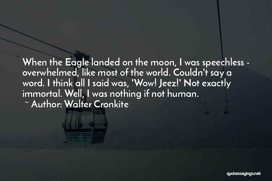 Walter Cronkite Quotes 224398