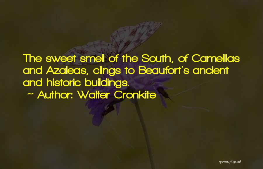 Walter Cronkite Quotes 295383