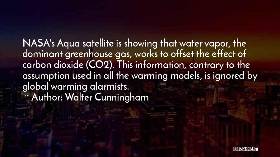 Walter Cunningham Quotes 515787