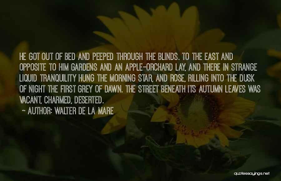 Walter De La Mare Quotes 347114