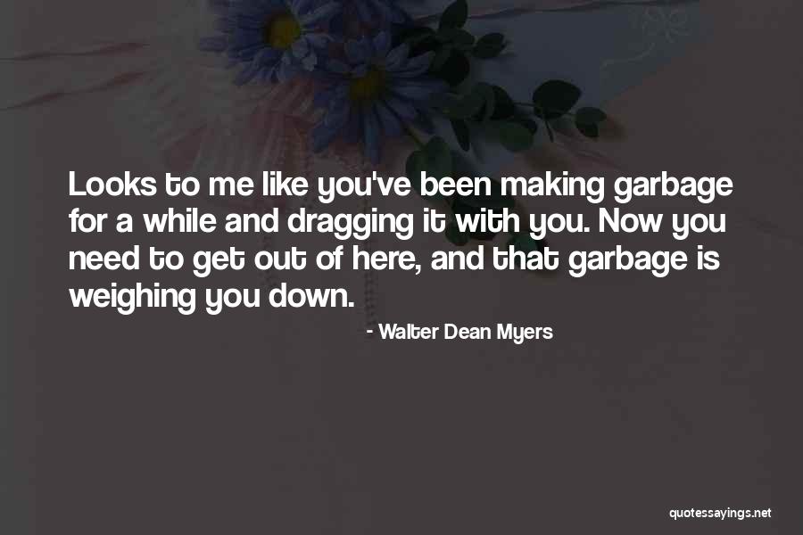 Walter Dean Myers Quotes 1077558