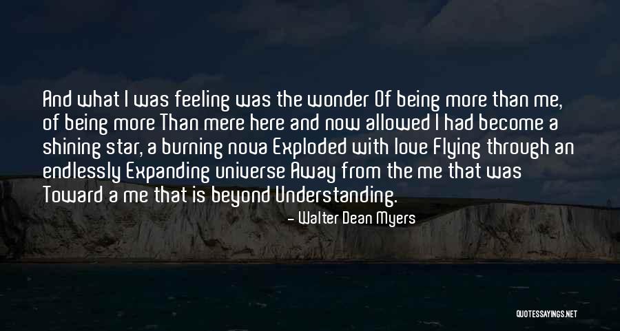 Walter Dean Myers Quotes 1086026