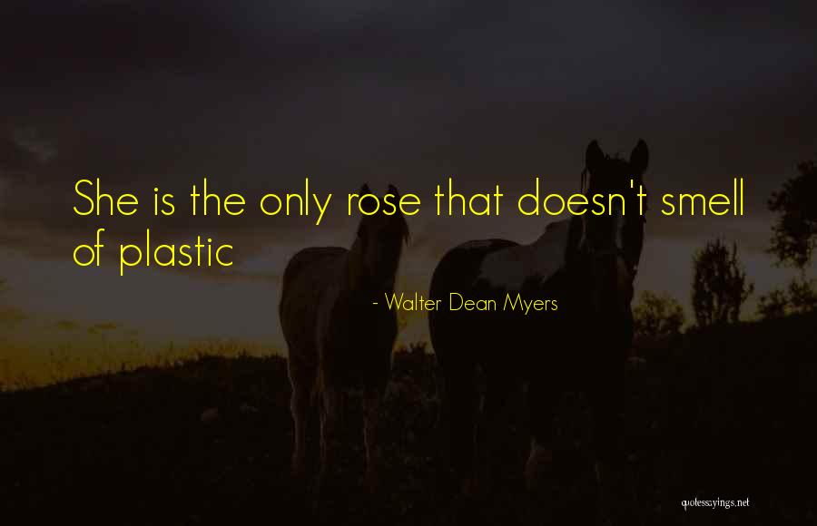 Walter Dean Myers Quotes 1230251