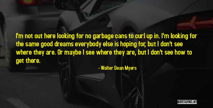 Walter Dean Myers Quotes 1455583