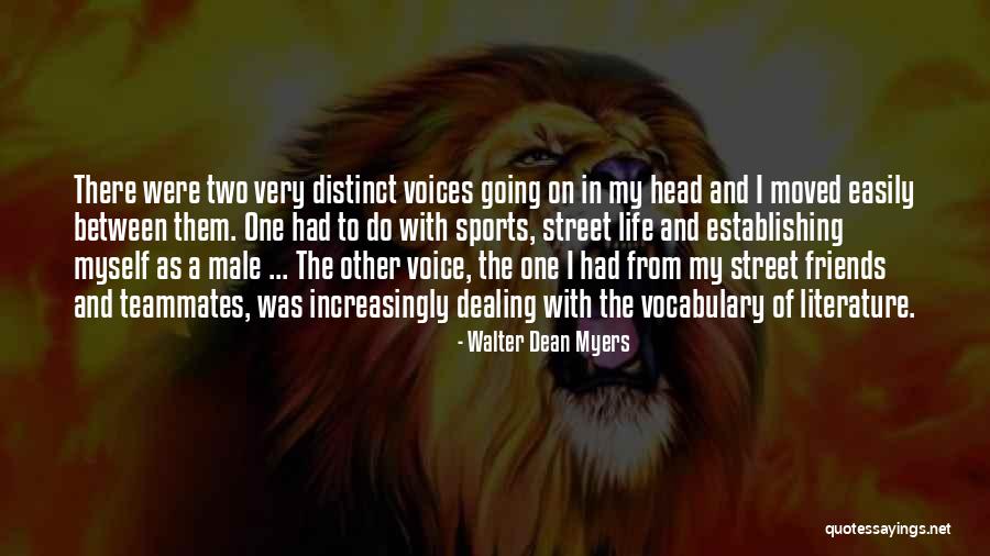 Walter Dean Myers Quotes 1536752