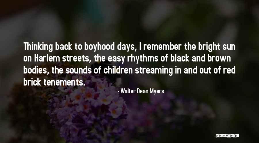 Walter Dean Myers Quotes 1707100