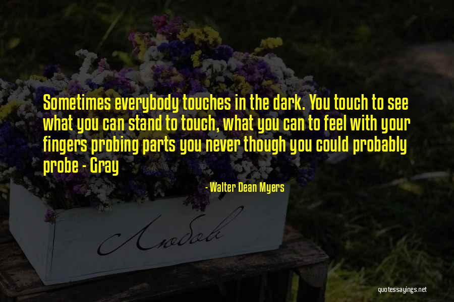 Walter Dean Myers Quotes 2107495