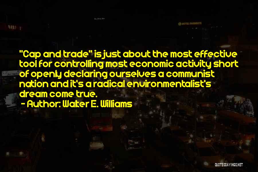 Walter E. Williams Quotes 117443