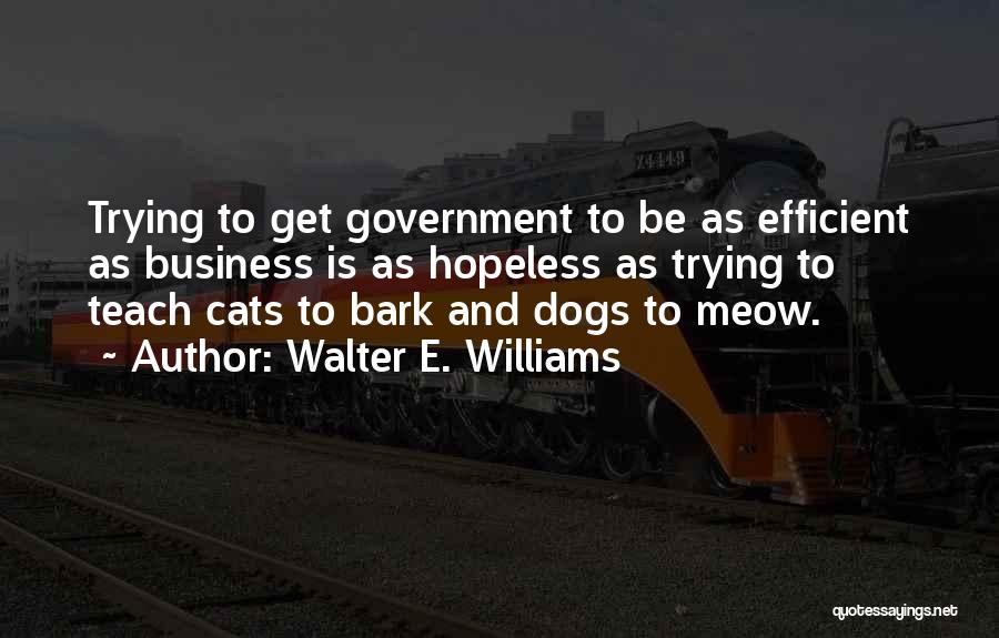 Walter E. Williams Quotes 875762