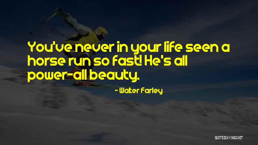 Walter Farley Quotes 816839