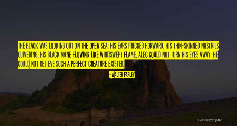 Walter Farley Quotes 855691