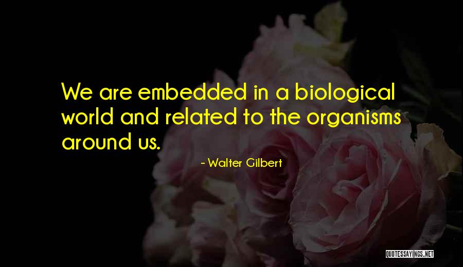 Walter Gilbert Quotes 1370883