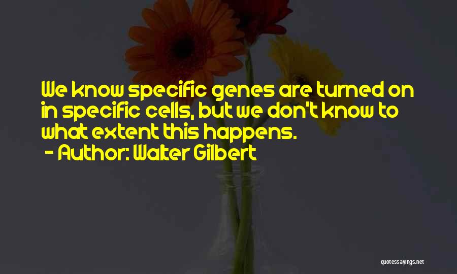 Walter Gilbert Quotes 1980779
