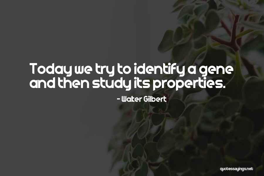 Walter Gilbert Quotes 2072428 Walter Gilbert Quotes 2072428