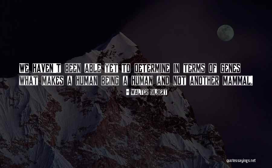 Walter Gilbert Quotes 819434 Walter Gilbert Quotes 819434