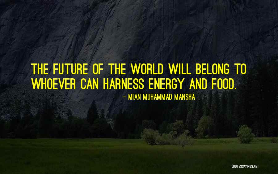 Walter Hobbs Quotes By Mian Muhammad Mansha Walter Hobbs Quotes By Mian Muhammad Mansha