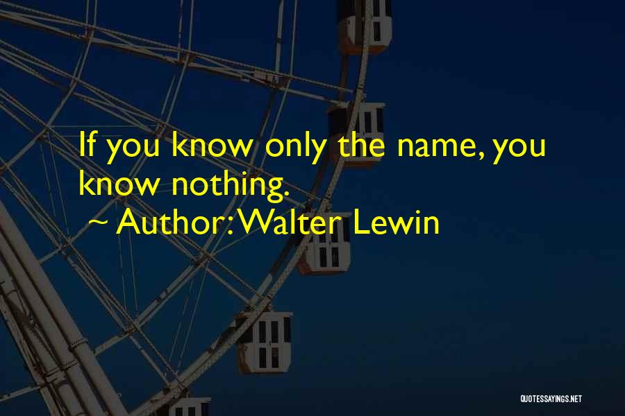 Walter Lewin Quotes 133900