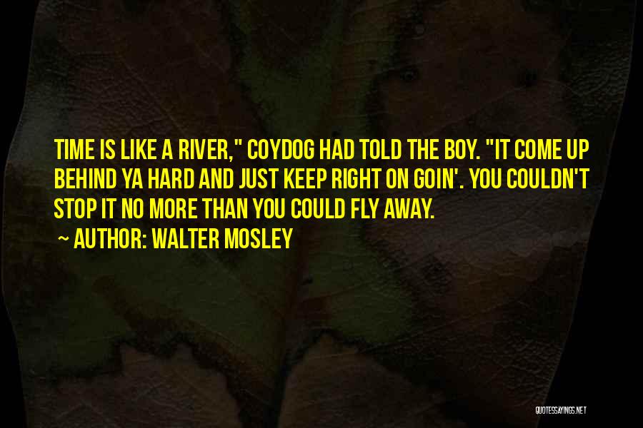 Walter Mosley Quotes 104362