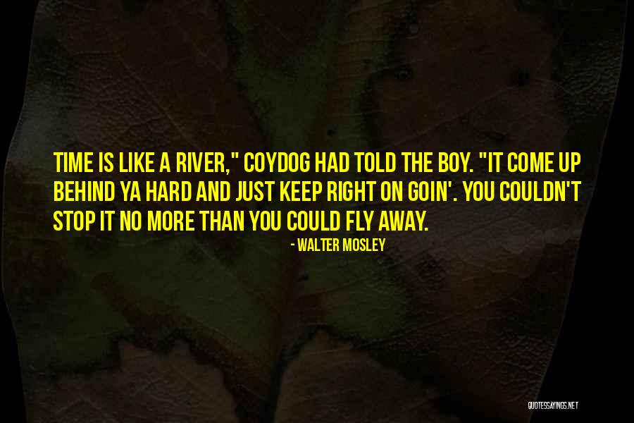 Walter Mosley Quotes 104362 Walter Mosley Quotes 104362