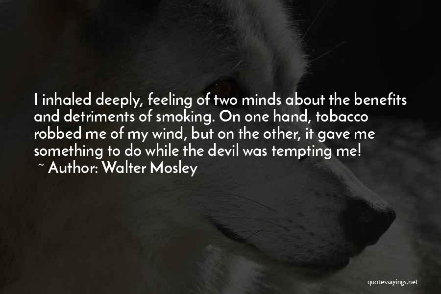 Walter Mosley Quotes 1427541