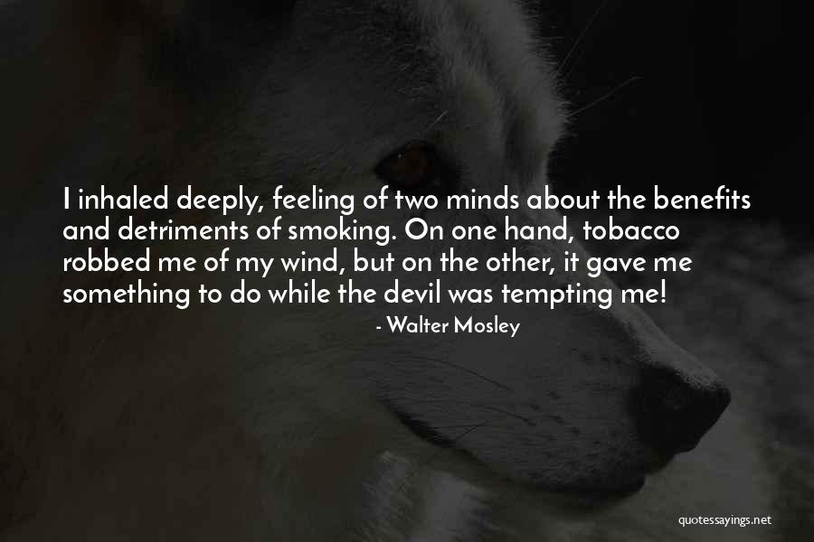 Walter Mosley Quotes 1427541