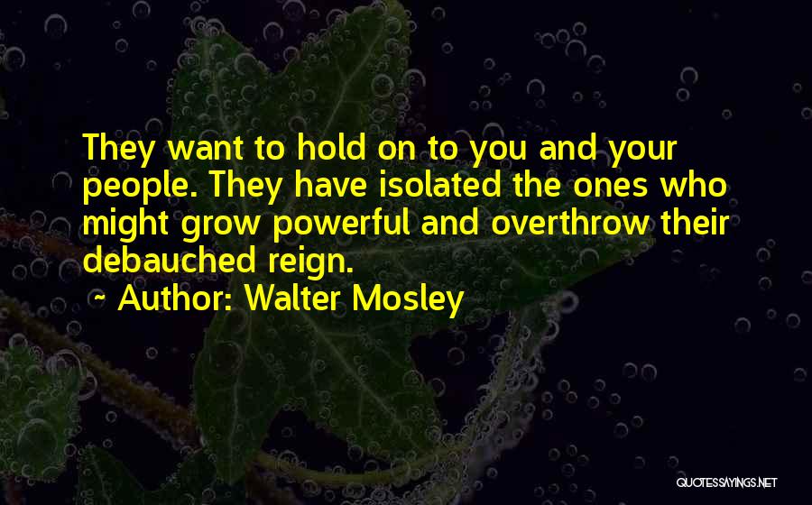 Walter Mosley Quotes 1861946