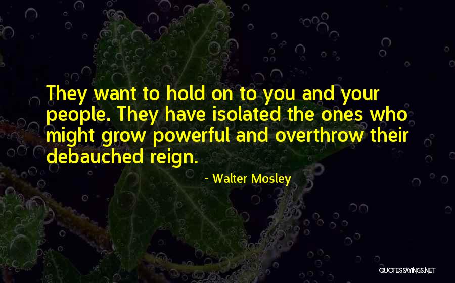 Walter Mosley Quotes 1861946