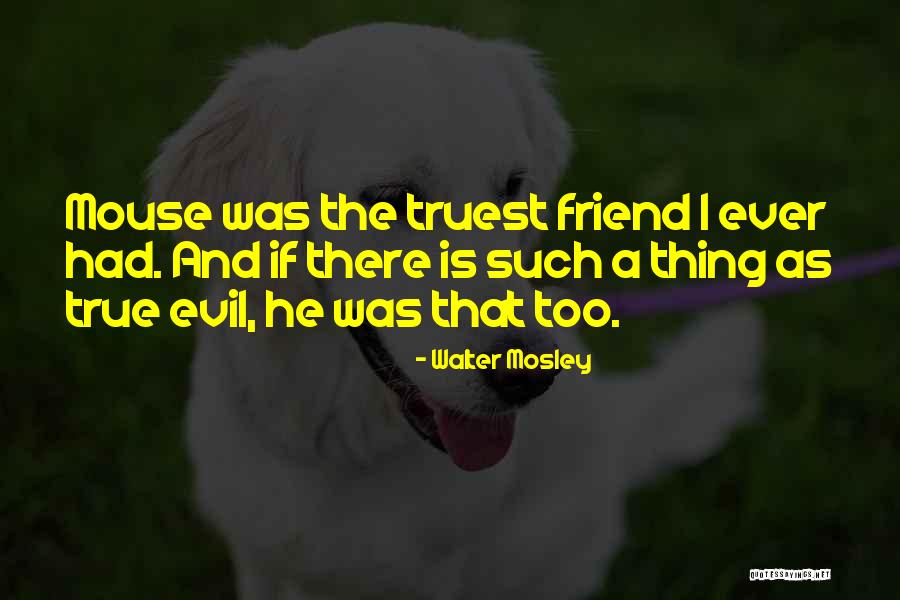 Walter Mosley Quotes 1960678 Walter Mosley Quotes 1960678