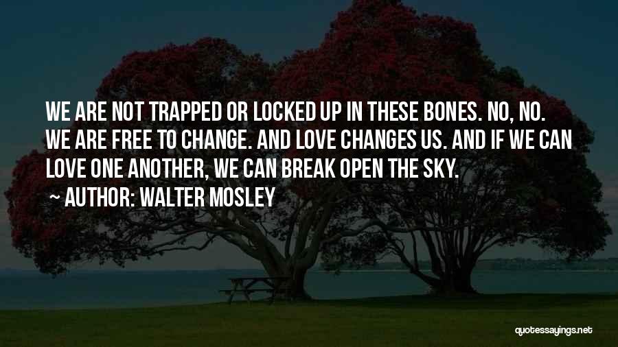 Walter Mosley Quotes 2036739
